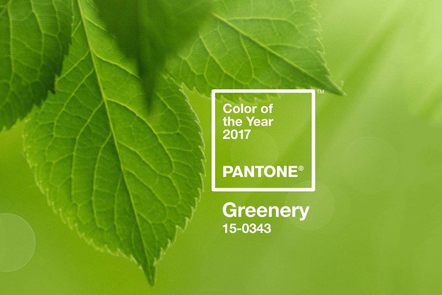 2017 Pantone of the Year: Greenery